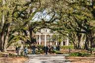 New Orleans Oak Alley Plantation and Airboat Tour thumbnail 1