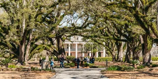 New Orleans Oak Alley Plantation and Airboat Tour