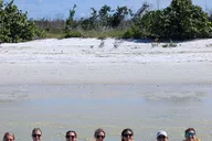 Fort Myers Beach Tiki Pub Sandbar Cruise 3 hr thumbnail 5