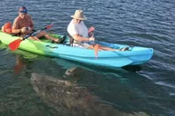 Crystal River Kayak with Manatee Viewing at Sunset thumbnail 2