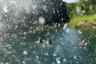 Waimea Valley Waterfall Swim & Dole Plantation Tour thumbnail 5