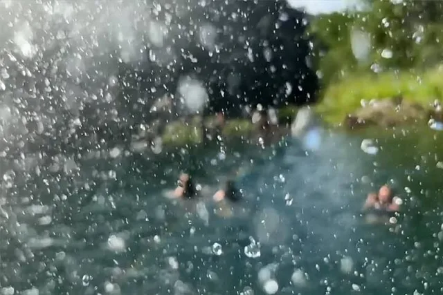 Waimea Valley Waterfall Swim & Dole Plantation Tour - Image 5