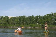Key Largo Kayak or Paddle Board Rental 1 hr thumbnail 4