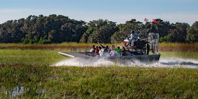 Orlando Airboat Tour & Gatorland Adventure - Image 3