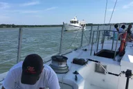 Hilton Head Crabbing Expedition Boat Cruise thumbnail 6