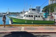 Waikiki Fishing Trip thumbnail 6