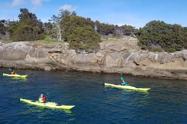 Sucia Island Kayak Expedition - Image 4