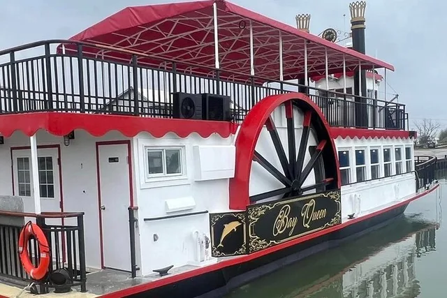 Galveston Dolphin Watching Boat Tour - Image 6