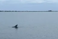 Cocoa Beach Bioluminescent Pontoon Cruise thumbnail 4