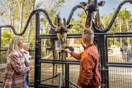 San Diego Attractions Pass thumbnail 4