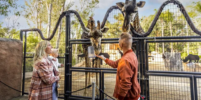 San Diego Attractions Pass - Image 4