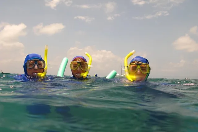 Marathon Key Snorkeling Adventure at Sombrero Reef 3 hr - Image 4