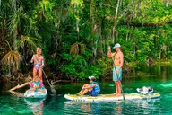 Silver Springs Paddle Board Adventure thumbnail 5