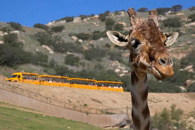 San Diego Explorer Pass - Image 6