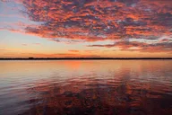 Key Largo Pontoon Boat Tour at Sunset thumbnail 6