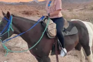 Las Vegas Horseback Riding Tour at Sunset with BBQ Dinner thumbnail 2