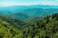 Pigeon Forge Smoky Mountains Guided Tour 6 hr thumbnail 1