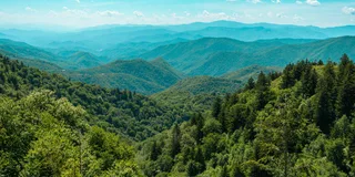 Pigeon Forge Smoky Mountains Guided Tour 6 hr