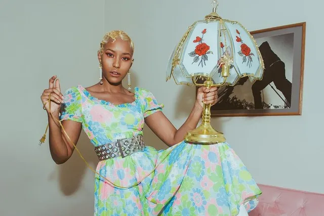 Brooklyn Vintage Shop Tour with Personal Stylist - Image 6