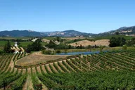 San Francisco Muir Woods & Napa Private Wine Tour 8 hr thumbnail 4