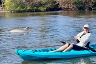 Ormond Beach Manatee and Nature Kayak Tour thumbnail 1