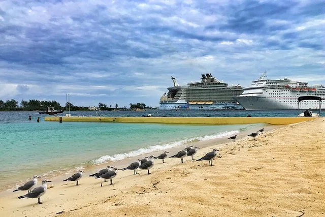 Miami Fort Lauderdale & Palm Beach Day Tour - Image 4