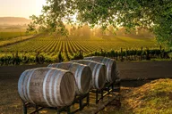 Fredericksburg Wine Tour with Lunch thumbnail 2