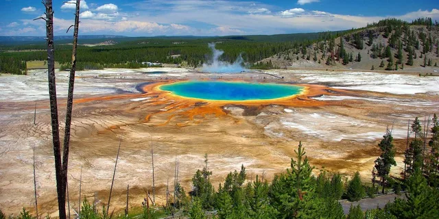 Jackson Yellowstone National Park Day Tour - Image 4
