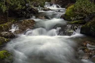 Vistas & Waterfall Photography Tour in Asheville thumbnail 4