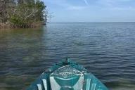Tampa Kayak Tour at EG Simmons Park thumbnail 5