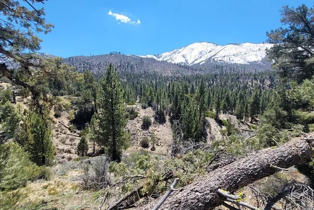 San Diego Kayaking & Hiking at Big Bear Lake 2-Day - Image 5
