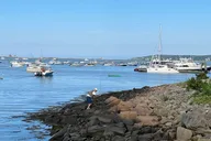 Boston Plymouth Private Tour 4 hr thumbnail 3