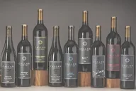 Woodinville Wine Tour with Women Winemakers thumbnail 4