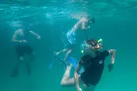 Destin Reef Snorkeling Adventure thumbnail 3