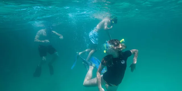 Destin Reef Snorkeling Adventure - Image 3