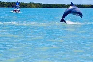 10,000 Islands CraigCat Tour thumbnail 4