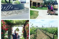 Temecula Valley Wine Tour from Orange County thumbnail 5