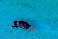 Miami Clear Kayak Photo Shoot thumbnail 5