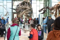 San Antonio Witte Museum Admission thumbnail 4