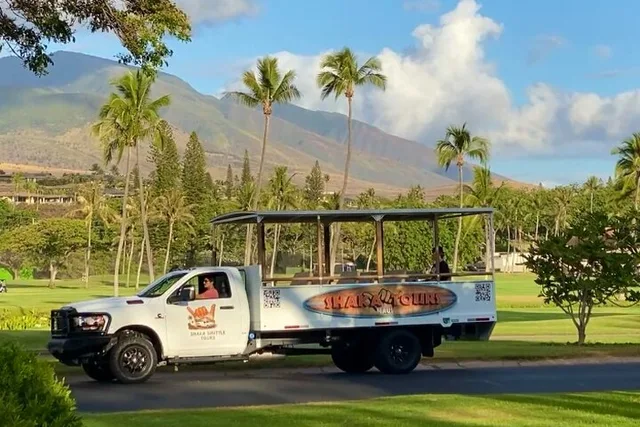 Maui Open-Air Sightseeing Tour 75 Min - Image 2