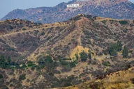 Los Angeles City Tour with Expert Guide thumbnail 4