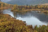 Anchorage Valley and Forest Hike with Naturalist Guide thumbnail 3