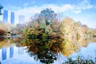 New York Central Park Scandal & Vice Walking Tour 2 hr thumbnail 3