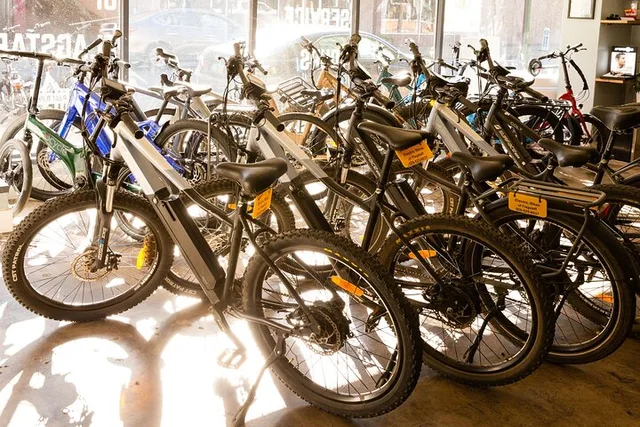 Flagstaff Electric Bike Rental - Image 3