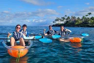 Maui Clear Kayak and Snorkel Tour thumbnail 3