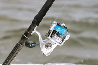 Charleston Inshore Fishing Charter 4 hr