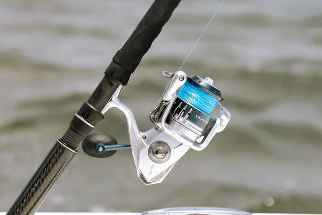 Charleston Inshore Fishing Charter 4 hr - Image 1