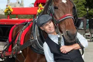New York Central Park Horse Carriage Ride 20 Min thumbnail 1
