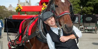 New York Central Park Horse Carriage Ride 20 Min