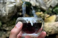 Santa Barbara Nature Trail Hike and Tea Ceremony thumbnail 2